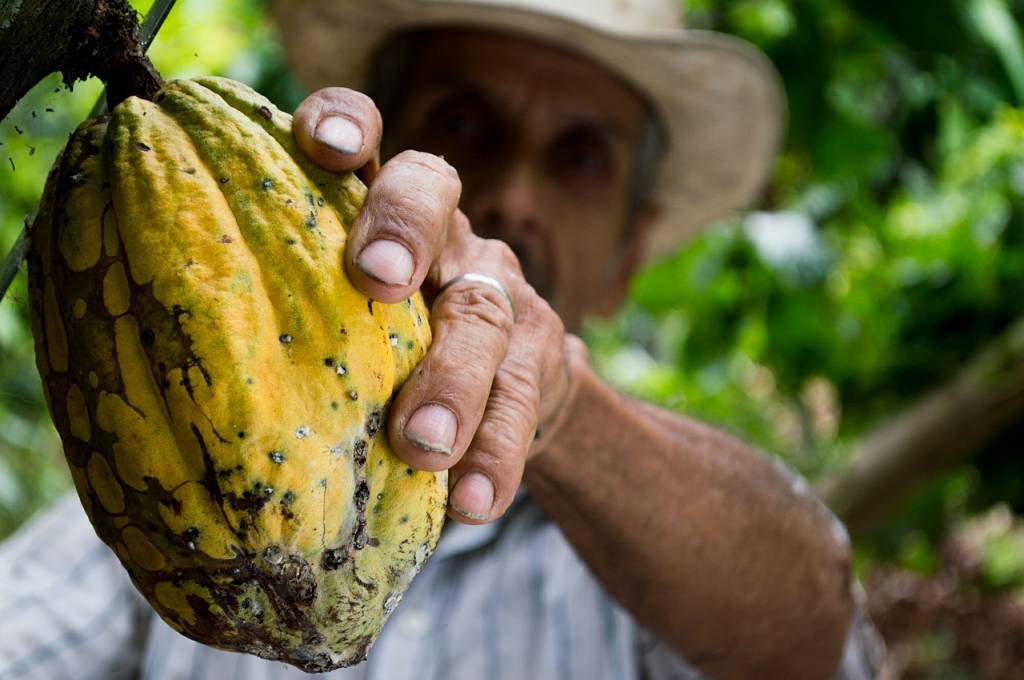 Een spreekbeurt over Fair Trade chocolade houden? 4 tips!