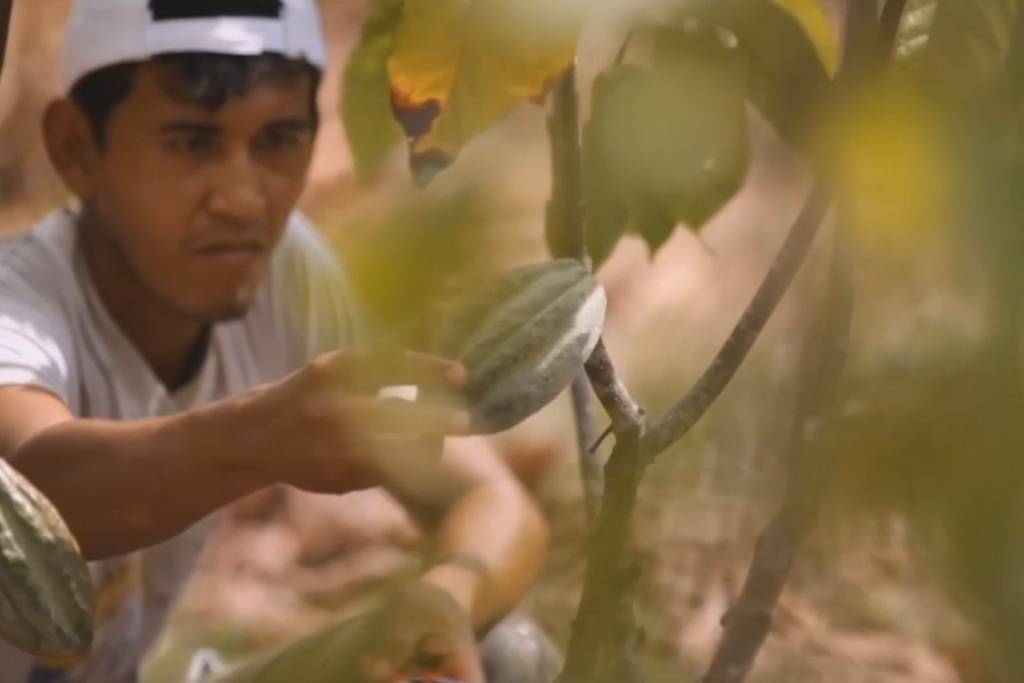 5 zaken die je moet weten over fairtrade chocolade