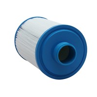 SPAS FILTERS #CH19# PVT25N-P4--FC-0121-SC716 (9)