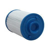 SPAS FILTERS #CH19# PVT25N-P4--FC-0121-SC716 (9)