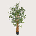 Bamboo Plant UV Green H230 D90