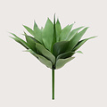 Agave Steker UV Groen H50
