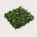 Plant base for Greenwall UV L50 B50