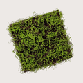 Moss base for Greenwall L50 B50