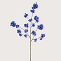 Blossom Branch Blue H130