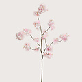 Blossom Branch Light Pink H130