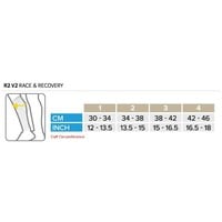 CompresSport Calf Sleeves R2 V2 Fluor Roze-Groen