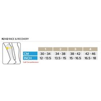 Compressport Calf Sleeves R2 V2 Ijs-Blauw