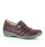 Heavenly Feet Hosta 4 Berry