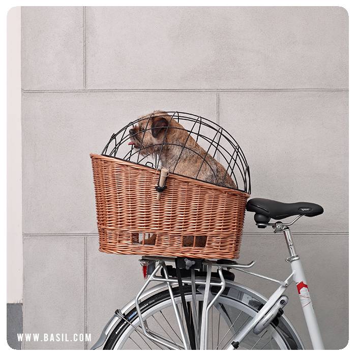 Actievoorwaarden Basil maart actie - like en win een Basil dierenfietsmand