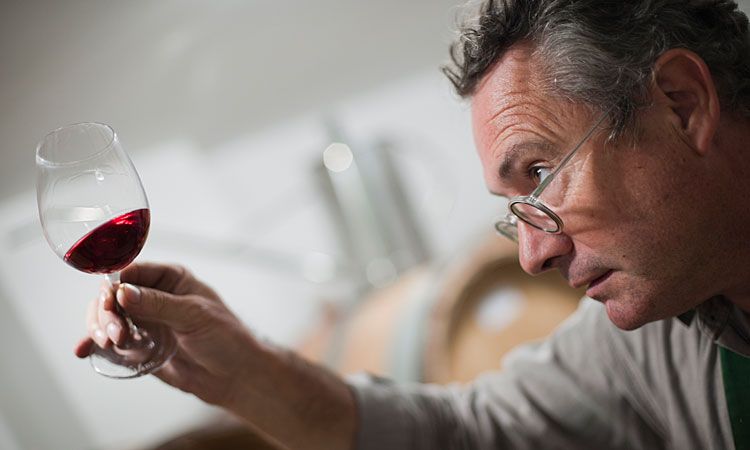 Winemaker’s Dinner with Hervé Kerlann in restaurant Arles