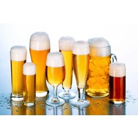 Montana Biergläs 0,3L 2 Stück