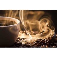 Montana Kaffeetasse 230 ml
