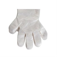 D5 Kitchen Einmalhandschuhe groß 100 Stück
