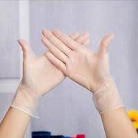D5 Kitchen Einmalhandschuhe groß 100 Stück