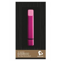 Bamboo 10 Speed