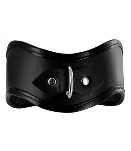 Strict Locking Posture Halsband