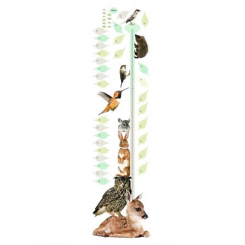 KEK Amsterdam Wall Sticker Forest Friends growth chart KEK Amsterdam Wall Sticker Forest Friends growth chart