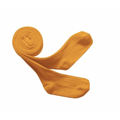 Collégien Tight Miel Dore Collégien Tight Miel Dore
