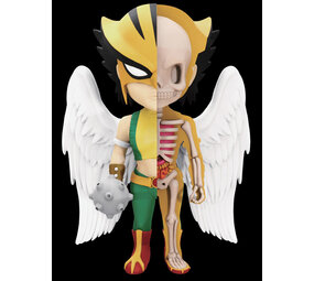 Fame Master Enterprise Ltd DC Comics: Hawkgirl X-Ray Figurine