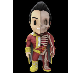 Fame Master Enterprise Ltd DC Comics: Shazam X-Ray Figurine