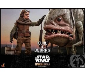 Star Wars: Kuiil and Blurgg 1:6 Scale Figure Set