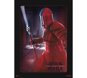 Art Print 30x40 cm Star Wars VIII Elite Guard