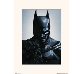 DC Comics DC Comics: Batman Arkham Origins Print