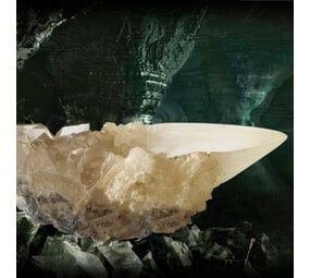The Noble Collection Harry Potter : The Crystal Goblet