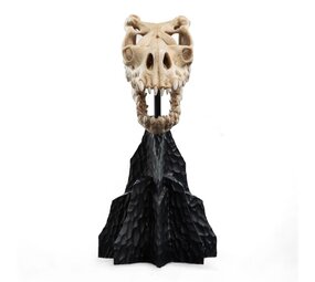 Weta Workshop Lord of the Rings Mini Statue Skull of a Fell Beast 21 cm