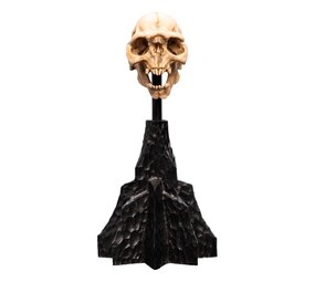 Weta Workshop Lord of the Rings Mini Statue Skull of a Moria Orc 13 cm
