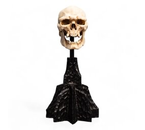Weta Workshop Lord of the Rings Mini Statue Skull of a Mordor Orc 14 cm
