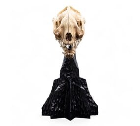 Weta Workshop Lord of the Rings Mini Statue Skull of a Warg 20 cm