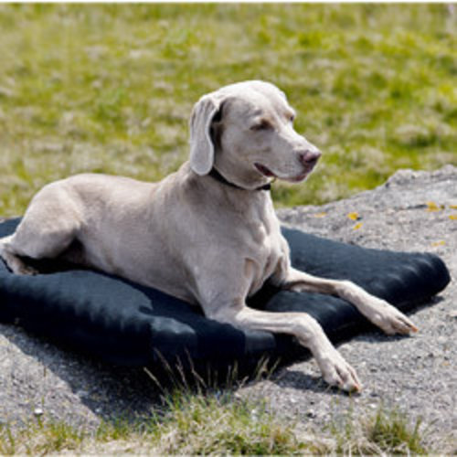 Back on Track Hondenmatras Back on Track Hondenmatras