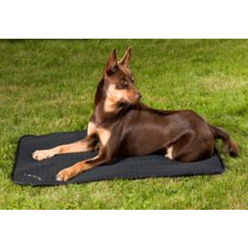 Back on Track Hondenmatras Allround Back on Track Hondenmatras Allround
