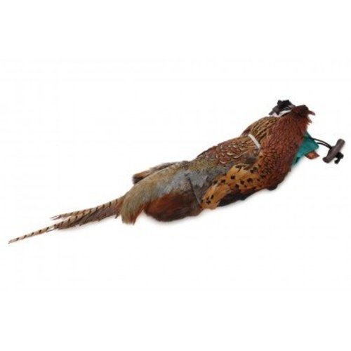 Firedog Standard Dummy 500 gr. Groen met Fazant Firedog Standard Dummy 500 gr. Groen met Fazant