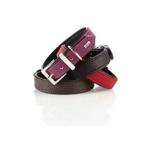 Hunter Hunter Collar Vega Hunter Hunter Collar Vega