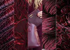 Schoenen en accessoires in de kleur bordeaux