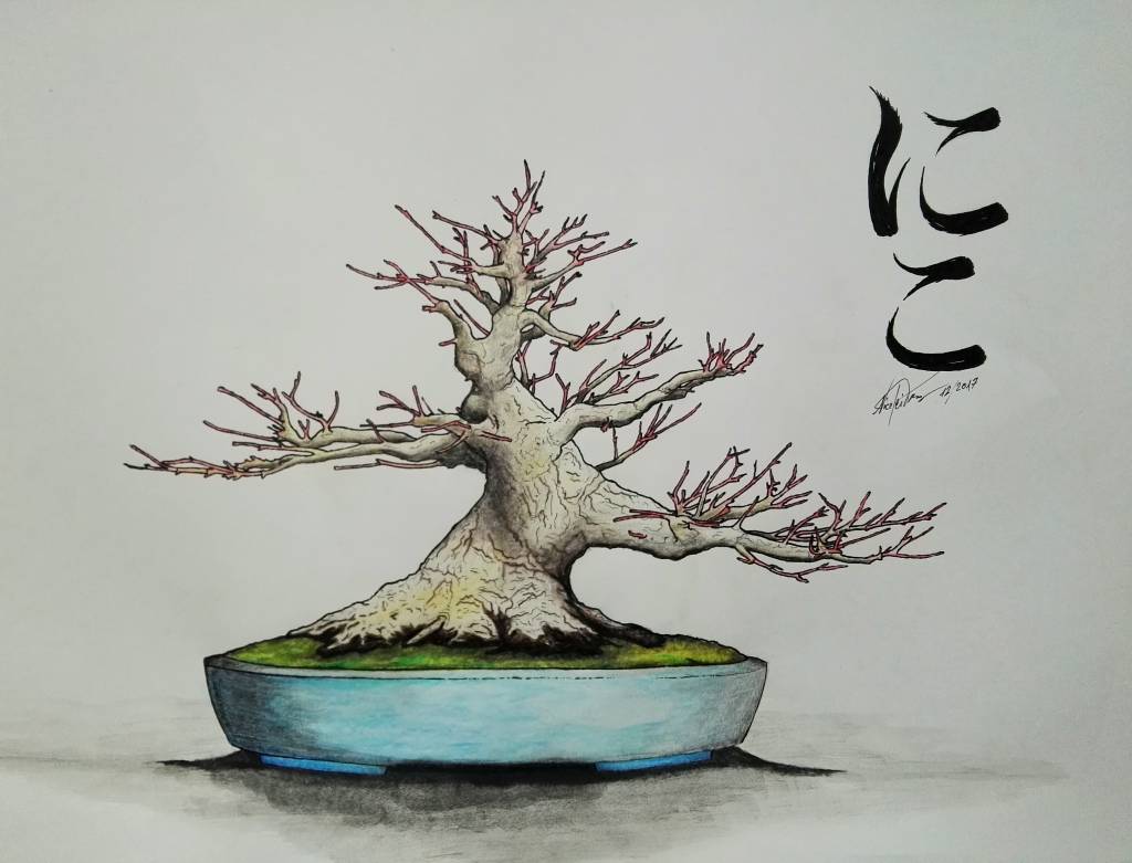 Das Zeichnen von Bonsai - Erklärt von Nico Tismer.