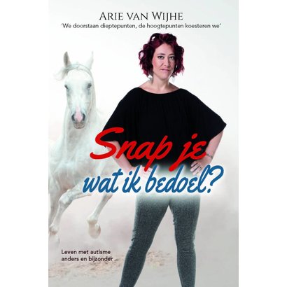Arie van Wijhe Snap je wat ik bedoel?