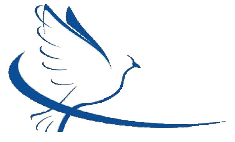 Gerards Blog - 2. Different approaches to pigeons