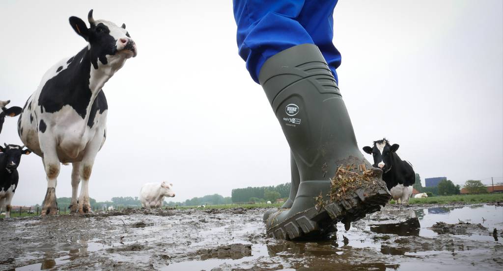5 redenen waarom landbouwers goede werklaarzen nodig hebben