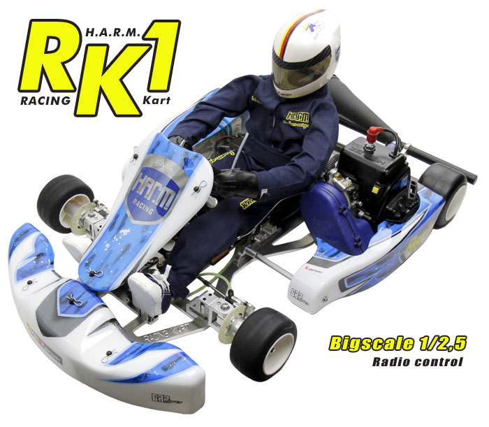 RK1 Racing Kart