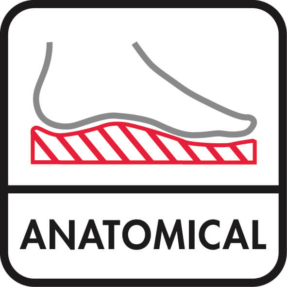 anathomsch voetbed
