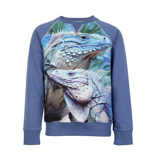 Wild kidswear Wild kidswear jongens sweater Jake iguana Wild kidswear Wild kidswear jongens sweater Jake iguana