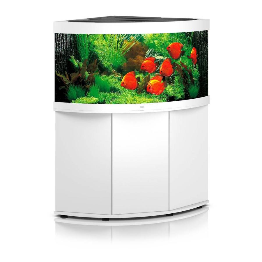 Aquacompleet | Juwel trigon 350 | wit| LED - Aquacompleet Aquacompleet | Juwel trigon 350 | wit| LED - Aquacompleet
