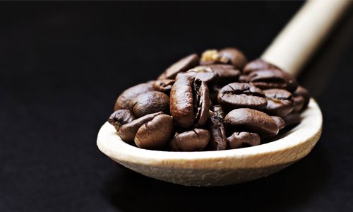Website Koffieboon.com officieel gelanceerd