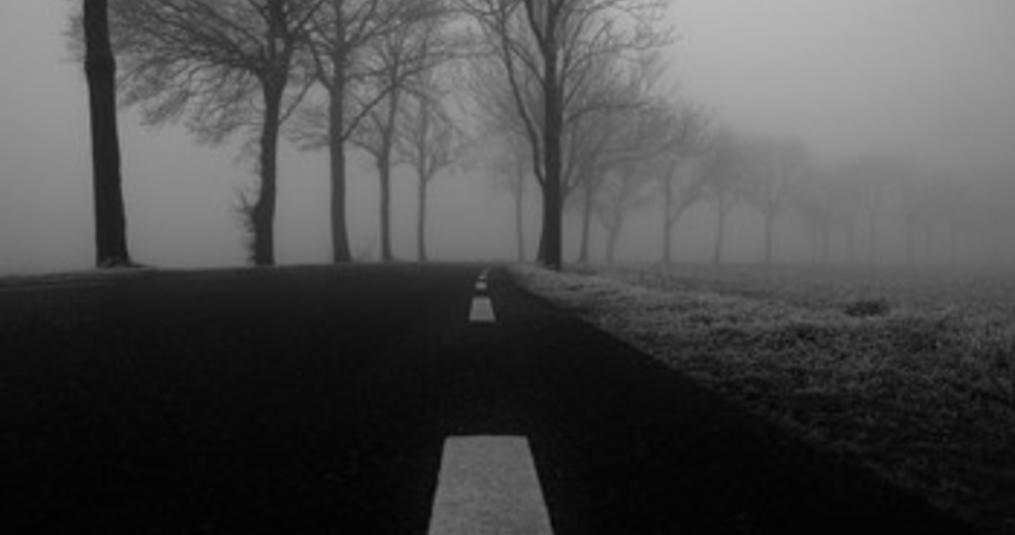 Nat, koud en donker.... Tijd voor de juiste trainingstips voor de winter van Edo van der Meer