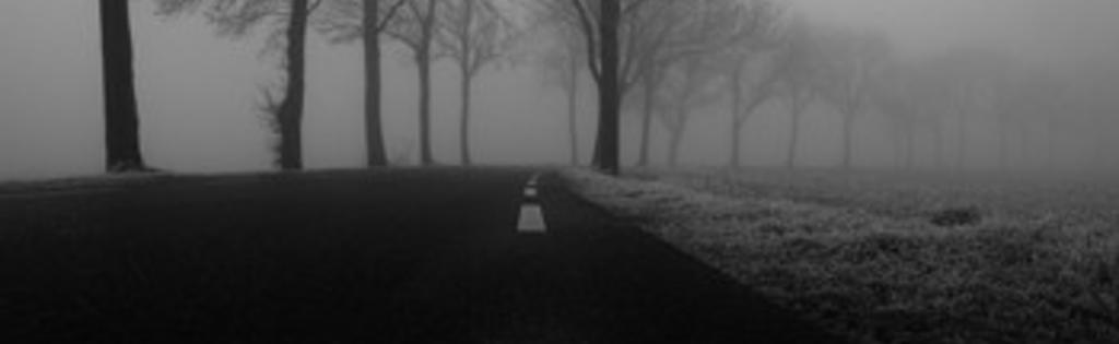 Nat, koud en donker.... Tijd voor de juiste trainingstips voor de winter van Edo van der Meer