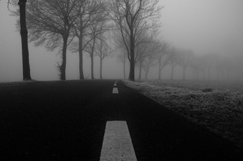 Nat, koud en donker.... Tijd voor de juiste trainingstips voor de winter van Edo van der Meer